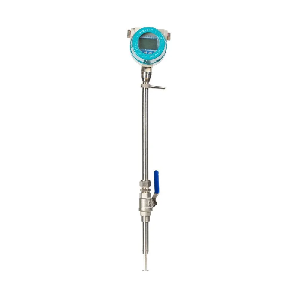 Insertion thermal mass flow meter probe with round display head