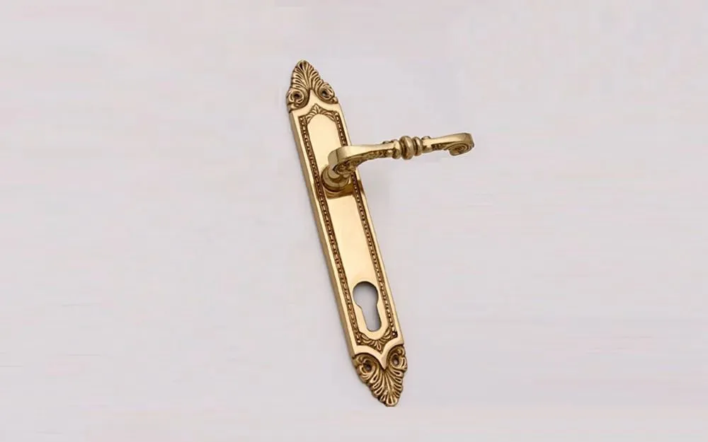 Brass lever door handle on a long decorative backplate