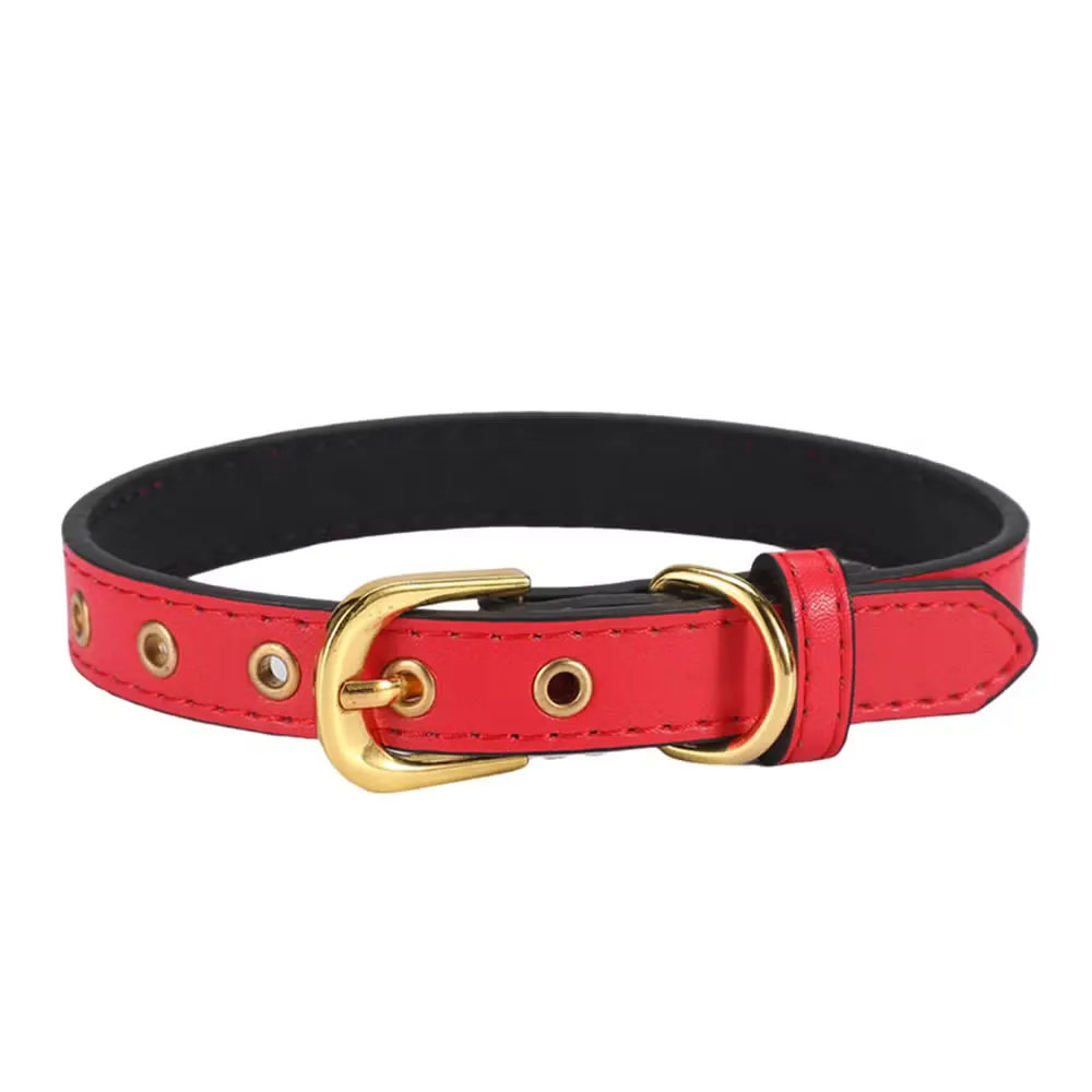 Red padded dog collar with a gold buckle and eyelets
