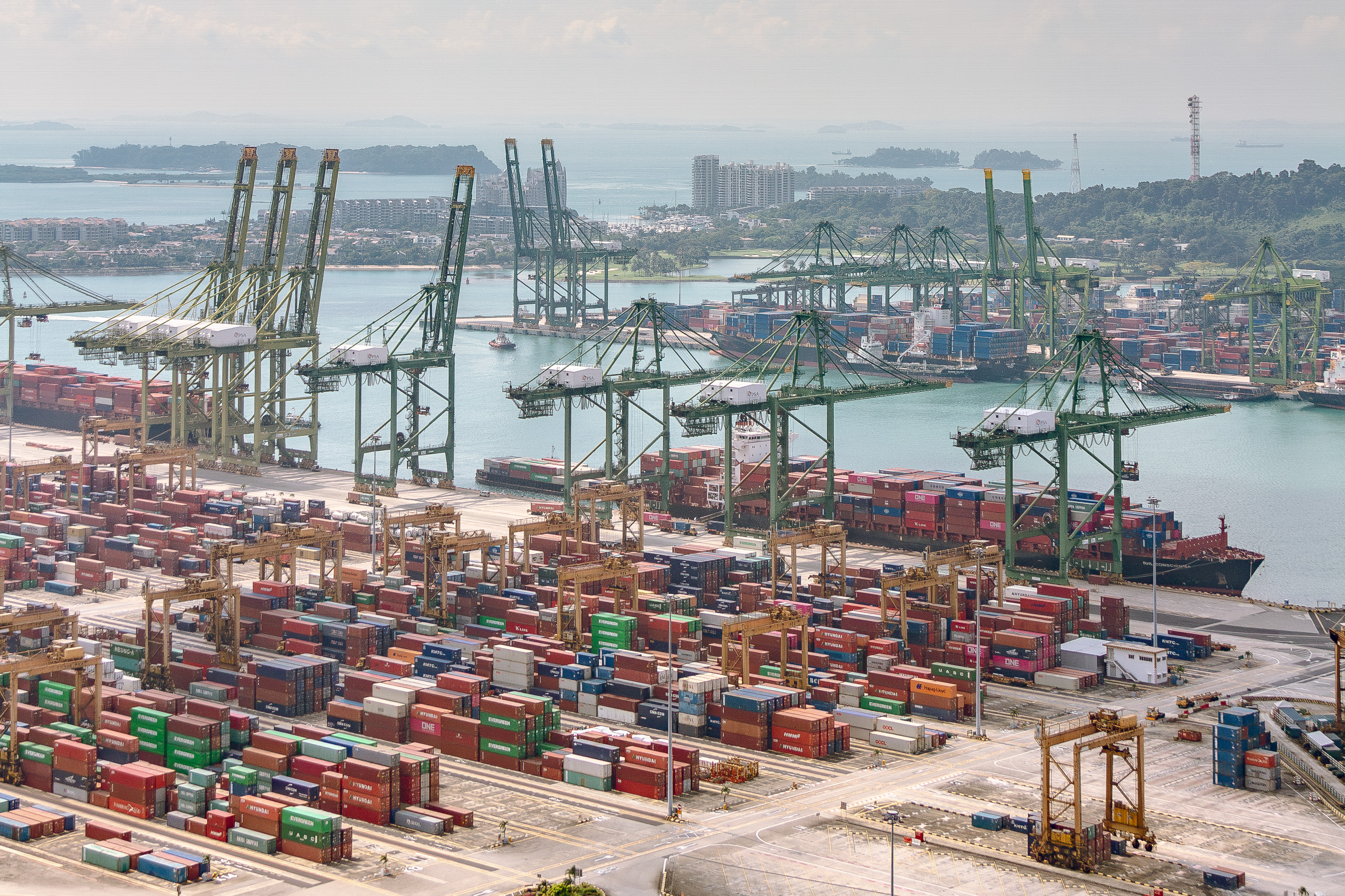 Sustainability Initiatives Transform Ocean Freight Industry